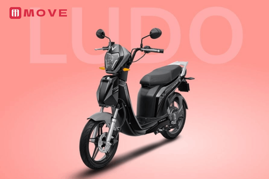 ludo