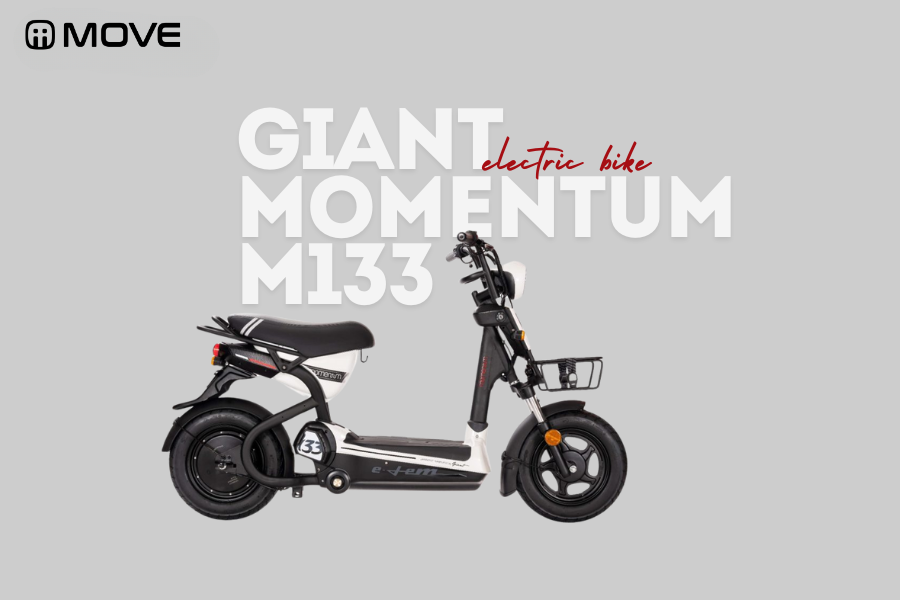 Giant Momentum M133